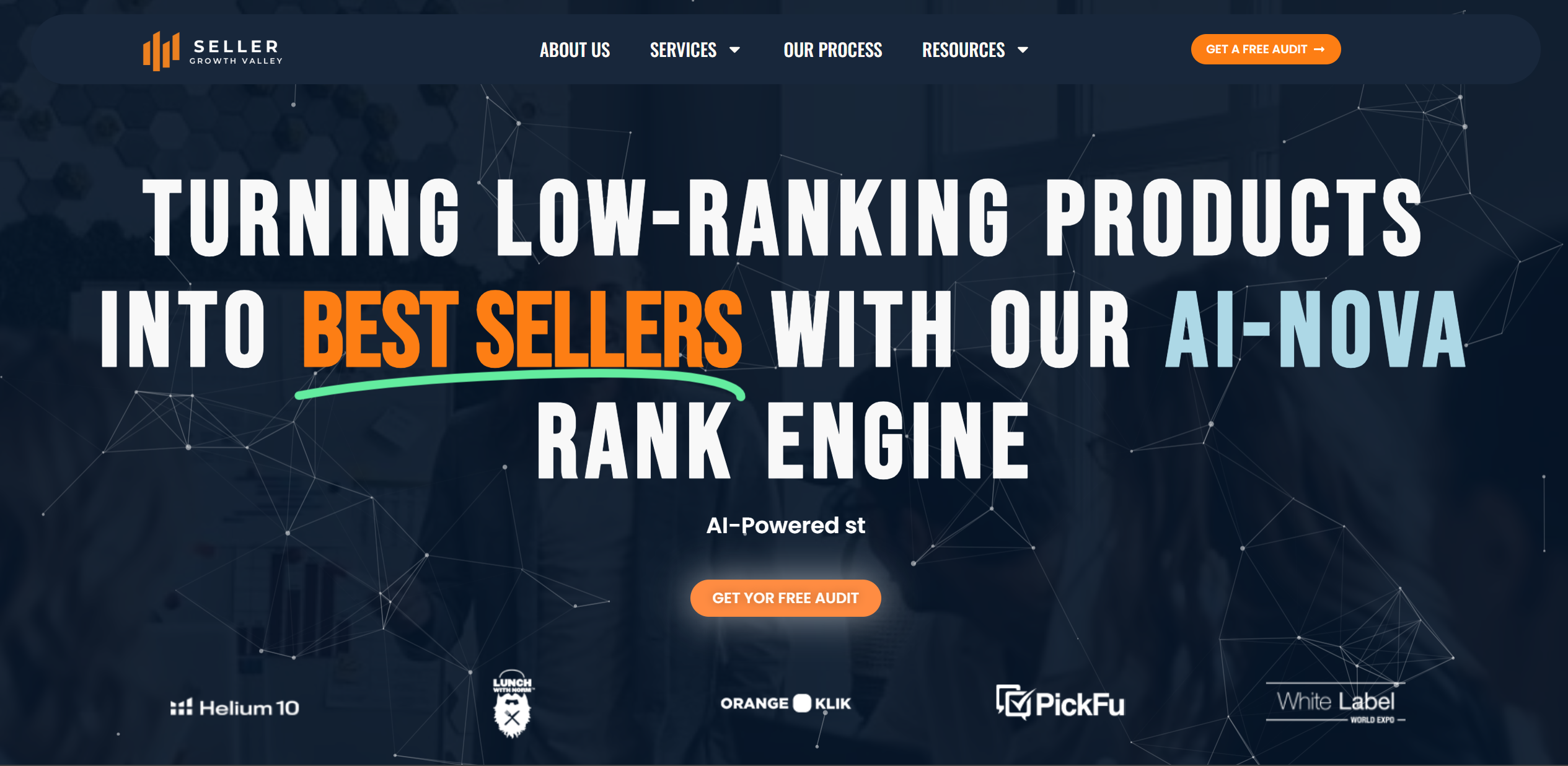 Seller Growth Valley